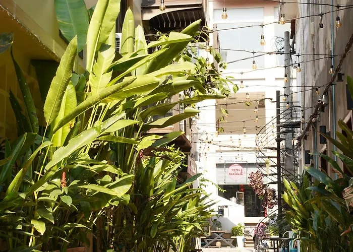 Ptes Chhouk *